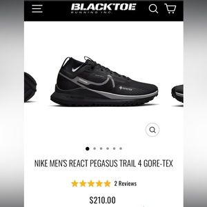 Nike React Pegasus Trail/Running Shoes 4 GORE-TEX. US 10.5 Men’s
